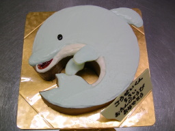 オーダーケーキ「イルカ」